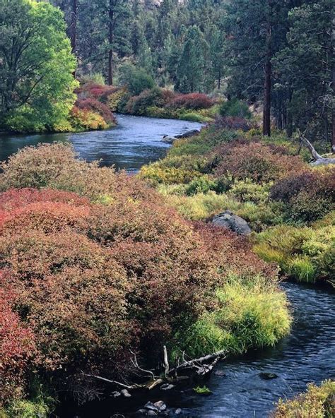 Top 10 Fall color Hikes in Bend, Oregon! - Mike Putnam Photography ...