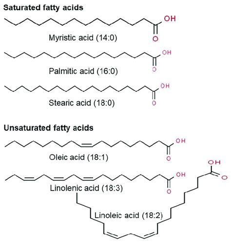 Representative chemical structure of saturated and unsaturated fatty ...