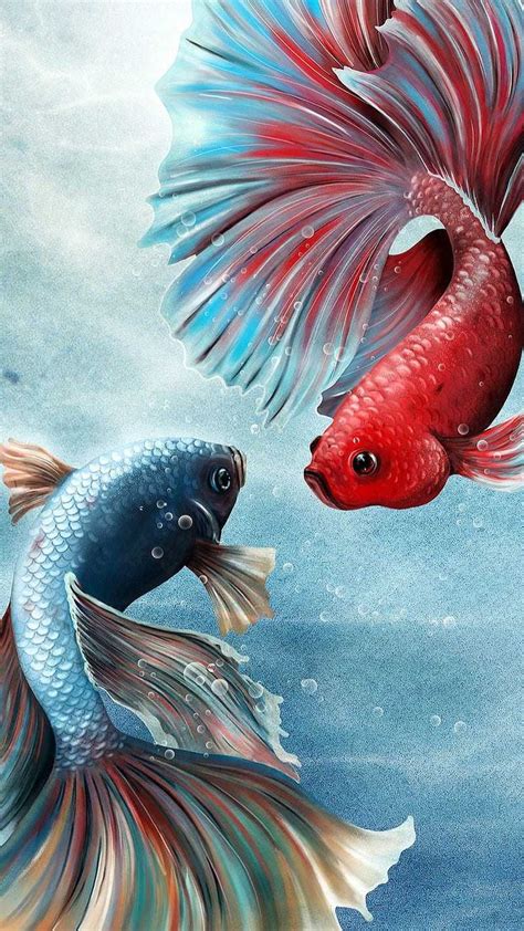 Koi Wallpapers - KoLPaPer - Awesome Free HD Wallpapers | Koi wallpaper ...