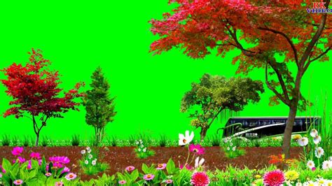 Free Green Screen Backgrounds, Green Screen Background Images, Beach ...