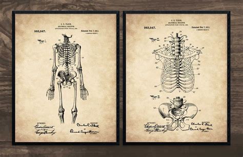 Skeleton Vintage Skeleton Set of 2 Skeleton Print Anatomy - Etsy