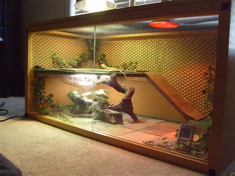 Viv pics only thread | Enclosures | Bearded dragon, Diy bearded dragon ...