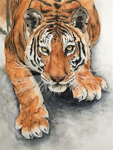 Tiger Watercolor Painting by Kate Plum - Doodlewash Tiger Painting ...