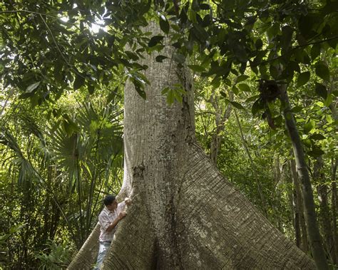 The Rainforest Alliance's Work in Mexico | Rainforest Alliance