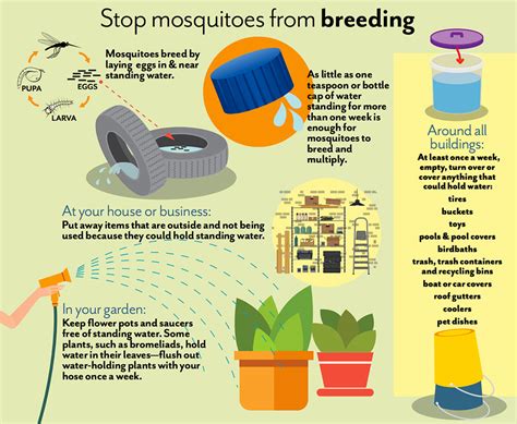 Proactive Tips | Weather and Mosquitoes