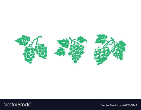 Grapes for design projects Royalty Free Vector Image