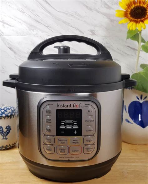 Instant Pot Duo Mini 7-in-1 Pressure Cooker Review - This Old Gal