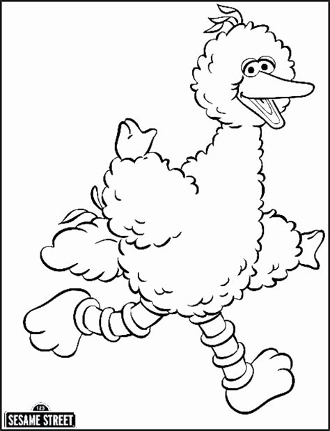 Big Bird Coloring Pages at GetColorings.com | Free printable colorings ...