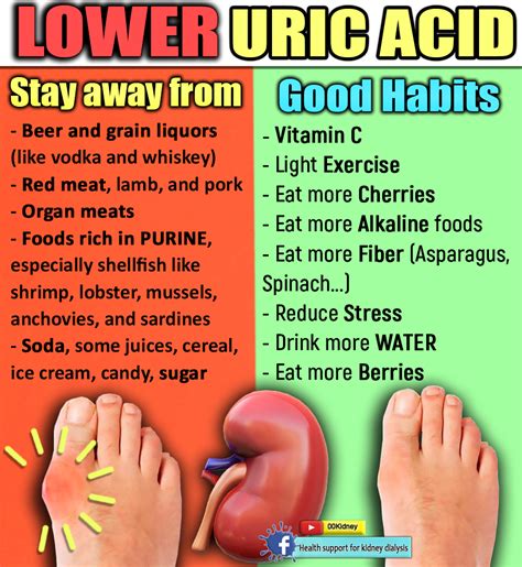 Normal Range Of Uric Acid In Women