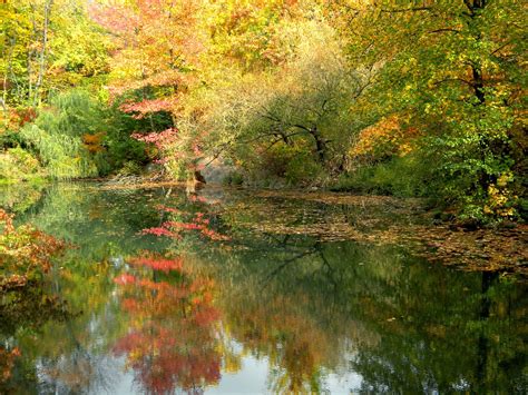 Fall colors in Central Park the Naturalists' Gate Public Domain Clip ...