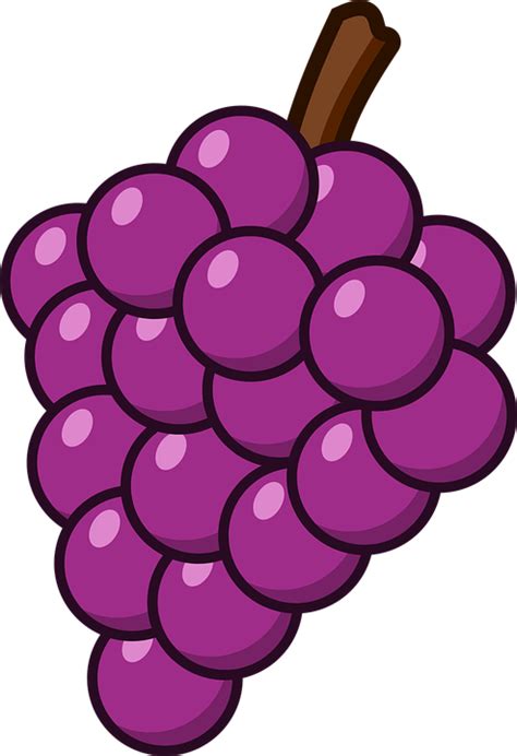 Download Grapes, Fruits, Purple Grapes. Royalty-Free Vector Graphic ...