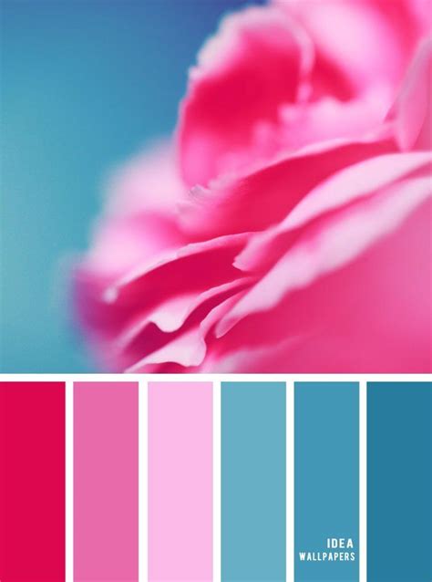 Pink Teal Rose Color Palette Teal Color Palette Color Palette | Images ...