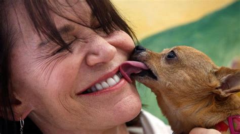 Why do dogs lick my face, and is it safe? | Miami Herald