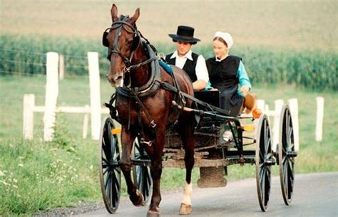 12 Unique Amish Wedding Traditions