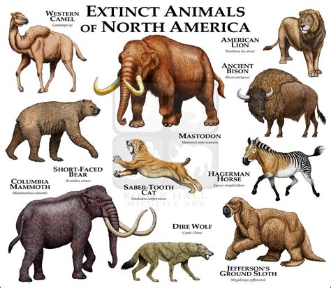 Extinct Mammals of North America Fine Art Print | Extinct animals ...