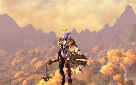 Starless the Protection Paladin from Moon Guard in her transmog for her ...