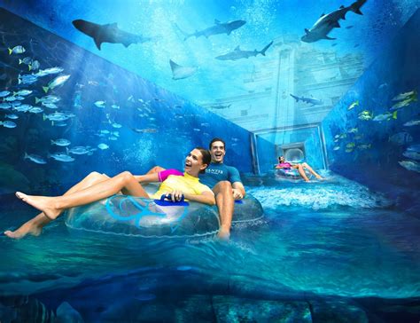 5 activités à faire à Dubaï avec des enfants | Explore par Expedia