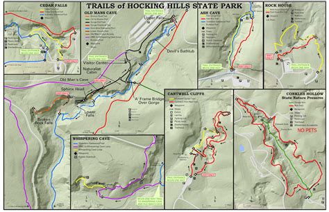 Forest Bathing in Hocking Hills, Ohio - My Family Travels