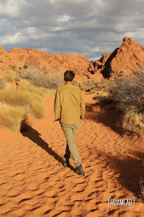 Mouse's Tank (Petroglyph Canyon) Trail — Hiking | Roam Lab