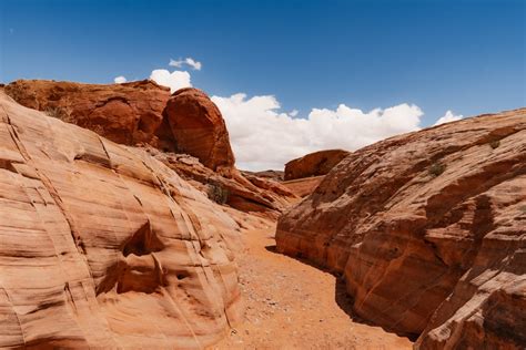 Fire Wave Trail: Must-Do Hike in the Valley of Fire State Park