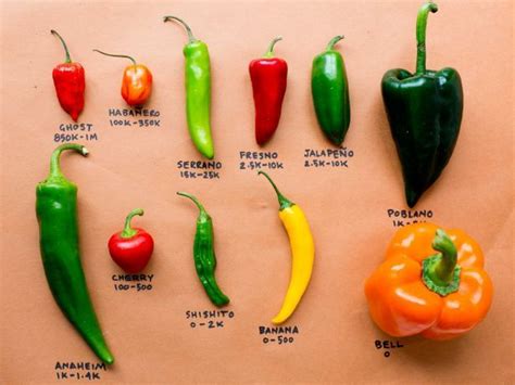 From the Competition to Your Kitchen: Chile Pepper Cheat Sheet | Baking ...