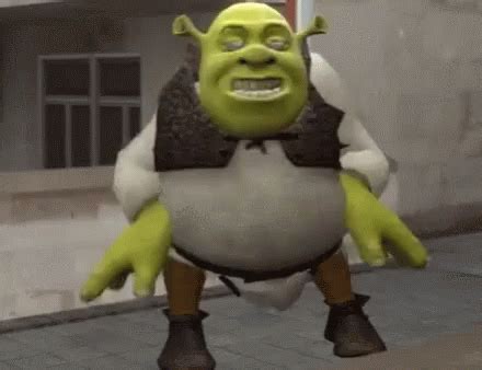 Funny Shrek Memes GIF