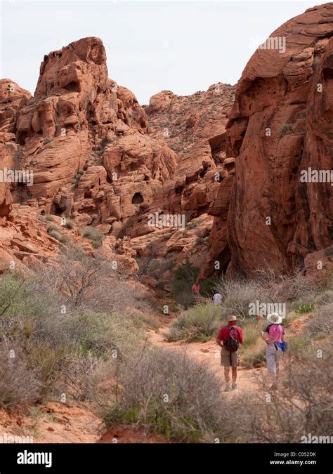 Mouse tank trail hi-res stock photography and images - Alamy