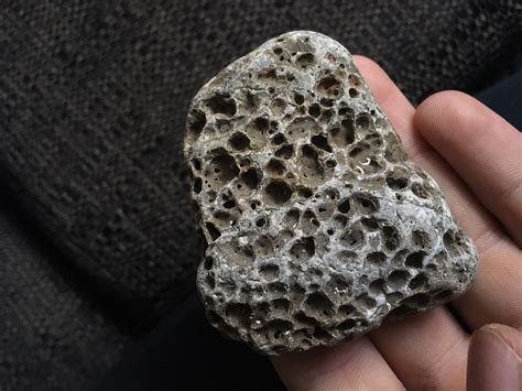 Coral? or just stone? - Fossil ID - The Fossil Forum