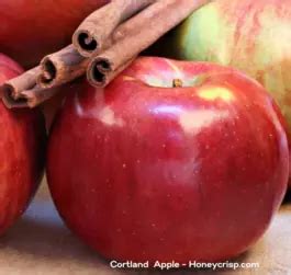 Cortland Apples | Orchard Fresh | Farm Direct To Your Door