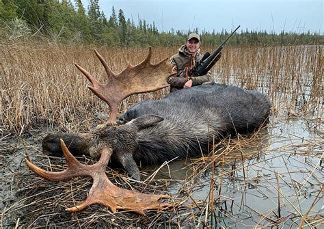 Moose Hunts in Northern Ontario - Algoma Country