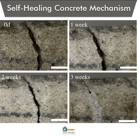 Self-Healing Concrete Mechanism