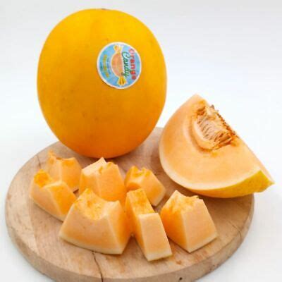 New Variety Candy Melon Orange Sweet Juicy Rock Melon Fruit Plant ...