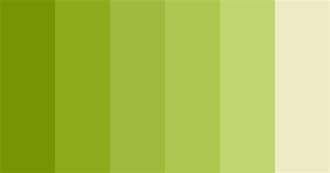 Green Inside Of Kiwi Color Scheme » Green » SchemeColor.com