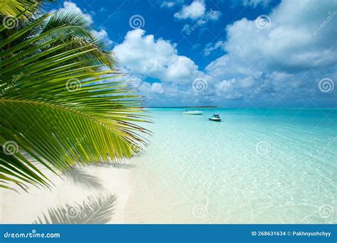 Tropical Beach in Maldives with Few Palm Trees Stock Photo - Image of ...