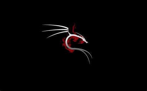 1920x1200 Kali Linux 4k 1080P Resolution ,HD 4k Wallpapers,Images ...