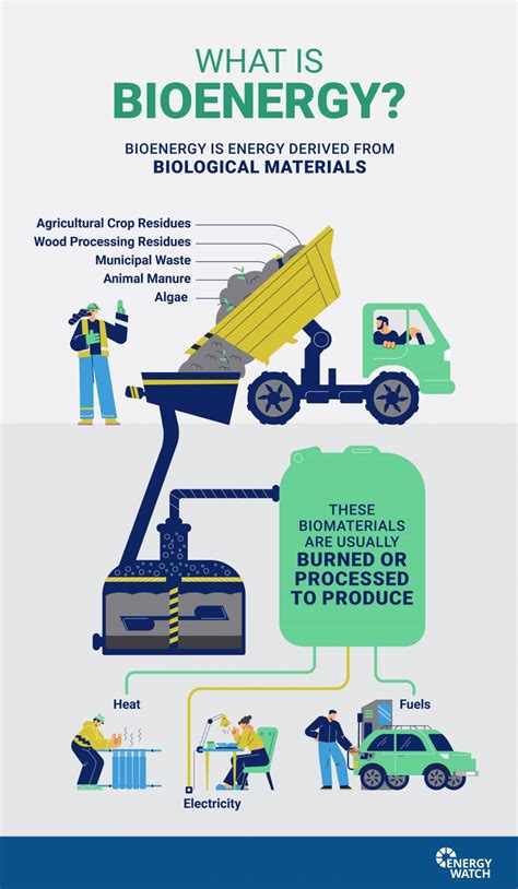 What is Bioenergy & Why are We Getting Excited About it? - Energy Watch ...