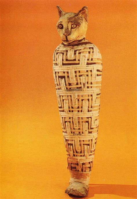 Mummy of an Egyptian cat, from The British Museum. The pattern of the ...