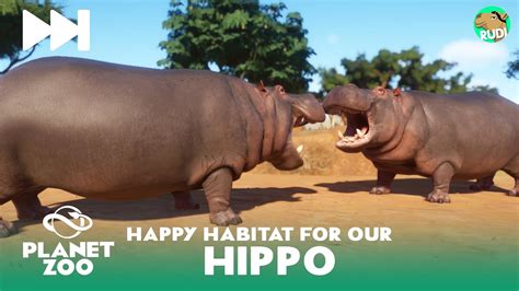 Happy Hippo Habitat - Planet Zoo Speedbuild - YouTube