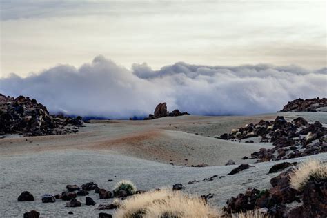 The Weather in Tenerife in March - Tenerife Tourist