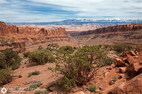 Camping trip in Moab, Utah – Charlotte Geary | Northern Virginia ...