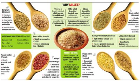 Karnataka: Agri price commission recommends millets for mid-day meals ...