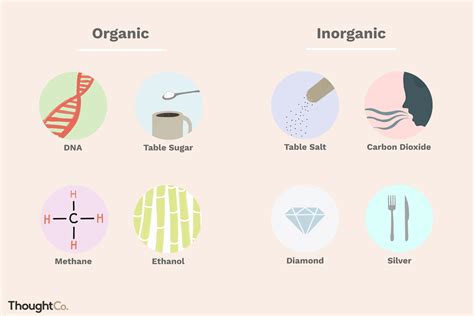 Understand the Difference Between Organic and Inorganic