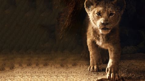 The Lion King Simba 2019 4k Wallpaper,HD Movies Wallpapers,4k ...