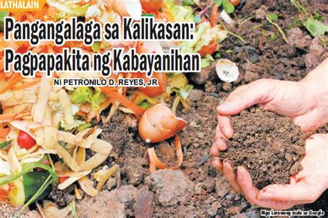 Pagpapakita Ng Pagpapahalaga Sa Kalikasan