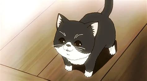 30 Best Anime Cats Felines of All Time - My Otaku World