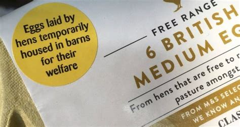 Free range egg labels explain ‘temporarily housed’ hens