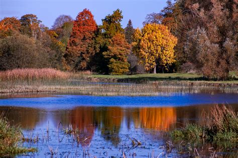 Birr Castle Gardens - Visit Offaly