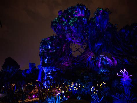 Pandora at Disney's Animal Kingdom at night. : disney