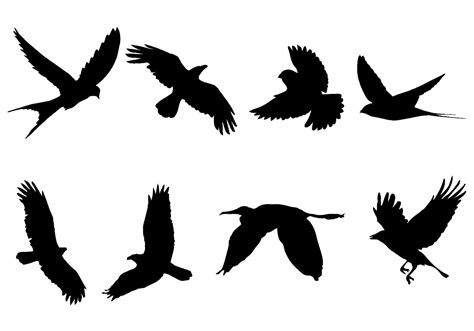 Free Flying Bird Silhouette Vector | Flying bird silhouette, Bird ...