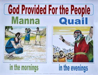 Moses: Manna & Quail to Eat! | Bible lessons for kids, Preschool bible ...